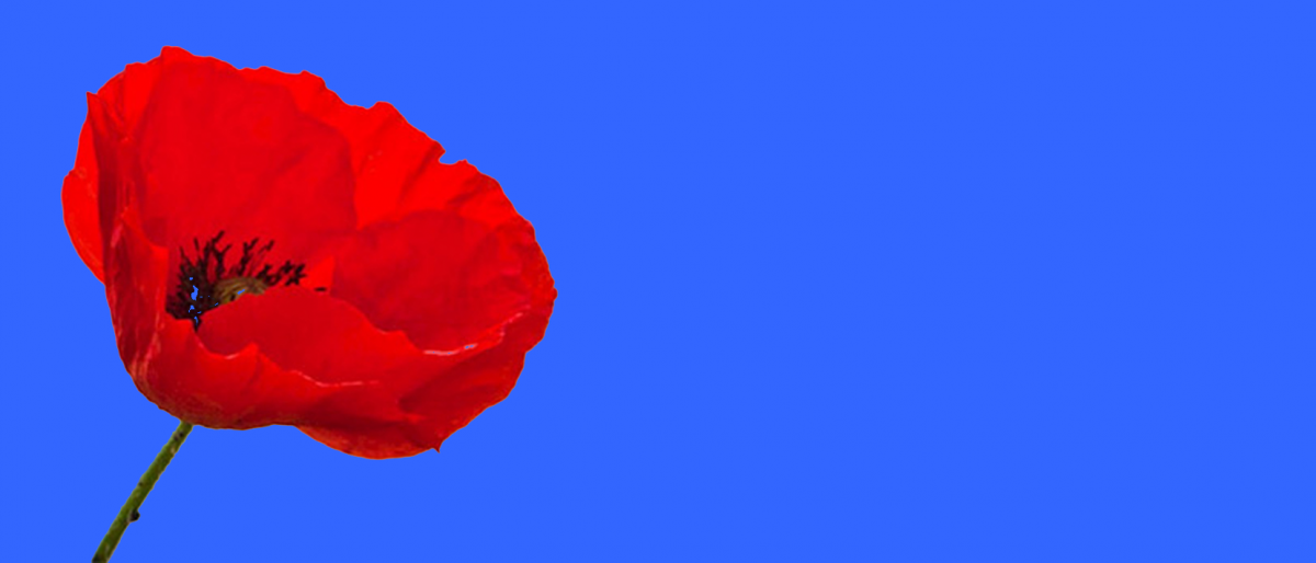 Permalink to: Royal British Legion